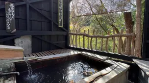 Sujiyu Onsen Kujyu Iyashi no Sato Hotel Dai Kogen - Image 2