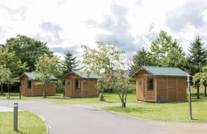 Naport Park Auto Campground - Image 3