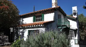 Evergreen - Image 3