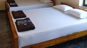 Dolphin beach stay - Image 2