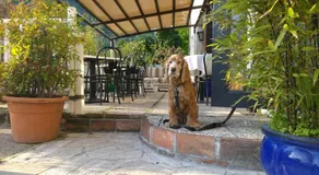 Hotel Cubamia - Image 5