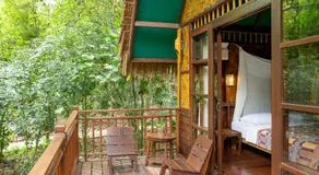 Our Jungle Camp - Image 2