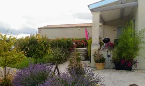 Gite Le Petit Luberon LISIANTHUS - Image 5