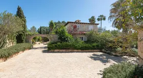 Calimero Alegria SL - Image 5