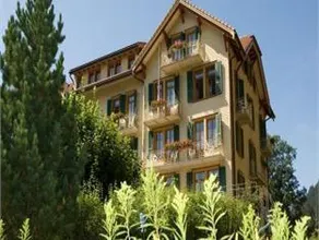 Historic Hotel Falken - Image 5