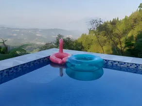 ZOYA HILLS - Image 3