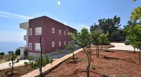 Dima Vista - Image 5