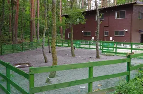 Oyado Tantan - Image 3
