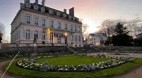Fine bulle en Champagne - 1 chambre - Terrasse - Image 3