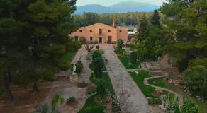 The Pines Hotel - Image 4