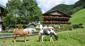 Kradorferhof - Image 3