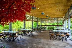 Lạc Sanh Onsen Resort - Image 5