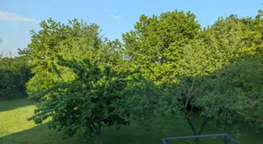 FeWo Aus'm Garten im Holzblockhaus nähe Aachen - Image 5