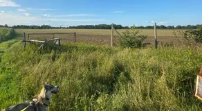 Voll ausgestattete tolle Wohnung mit Garten | Hunde erlaubt - Image 4
