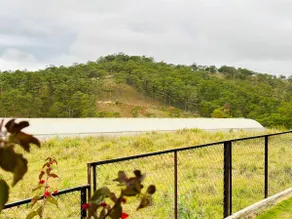 Manline Houses - Image 4