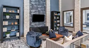 Resort Style Apartment/Home - The Woodlands - Image 3