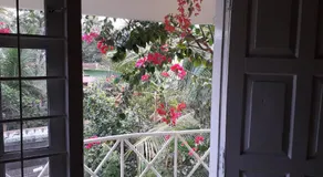 Vivaresidence Homestay - Image 4