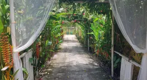 Maui's Place - Image 4