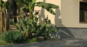 B&B Villa Carolina - Image 4