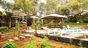 Rochabus - Image 3