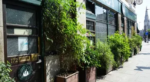 The Walrus Bar & Hostel - Image 4