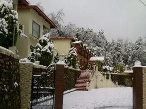Ojaswi Resort - Image 4
