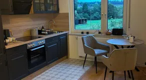 Laubushof - Idyllisches Apartment "Wiesenblick" im Grünen mit Balkon - Image 3