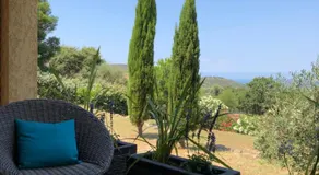 Au pied des oliviers - Image 3