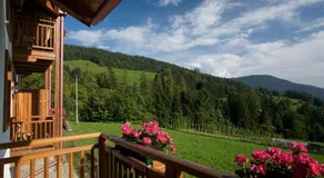 B&B Affittacamere Larix - Image 4
