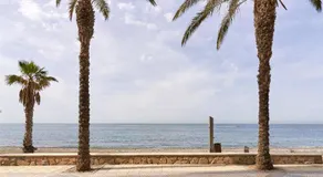 Estudio Algarrobo Costa - Image 5