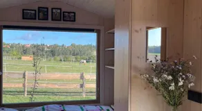 Tiny u koníků - Image 2