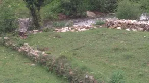 Rudradhari Homestay, Kausani - Image 3
