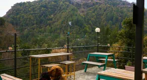 Seegreen Lodges - Image 5