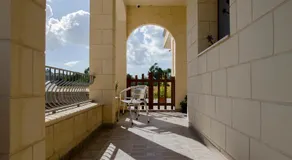 Zejtun Malta delle olive del sud - Image 4