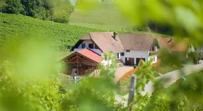 Tourist Farm Rooms Lovrec - Image 4