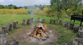 Mazurska Knieja - Image 5