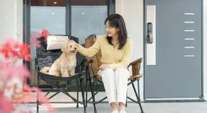 gyeongsan stage-ipple pet pension - Image 2