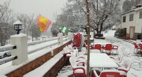 Dulce Posada - Image 5