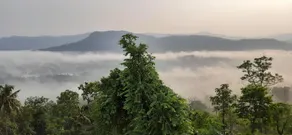 Mist Farm Resort - Image 4