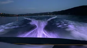Aqua Glamp - Image 2
