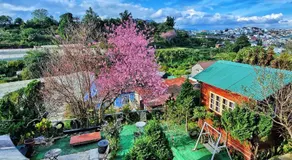 Đen long homestay & coffee - Image 4