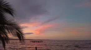 Palmeras de Miramar - Image 4