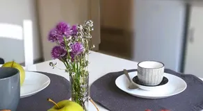 apartma Vila TARA - Image 5