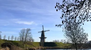 Siësta WouW - Image 4