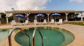 Perladelmare - Image 3