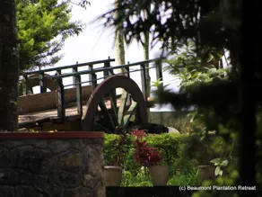 Beaumont Plantation Retreat - Image 3