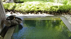 Wakaki Ryokan - Image 2