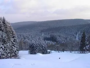 Landhotel Fernsicht - Image 5