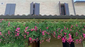 Guest House Vagamondo - Image 5