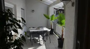 PalmGarden - Image 4